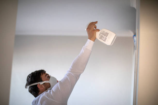 Best Mold Removal Near Me  in Mont Belvieu, TX