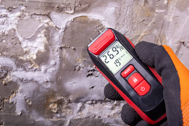 Mold Removal Process in Mont Belvieu, TX