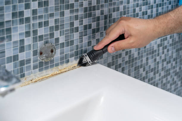 Best Home Mold Removal  in Mont Belvieu, TX