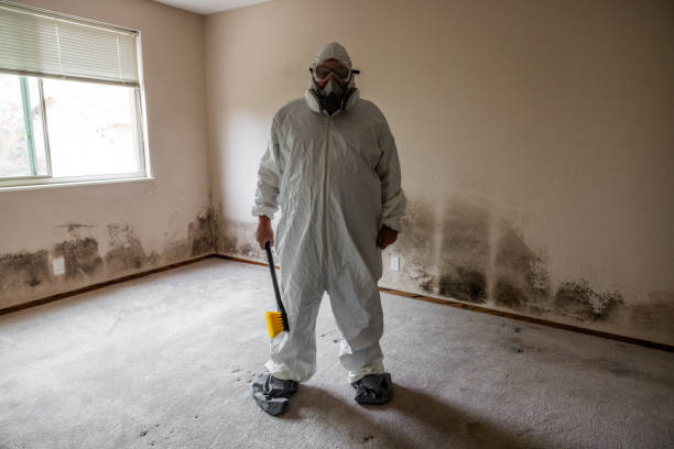 Best Crawl Space Mold Removal  in Mont Belvieu, TX